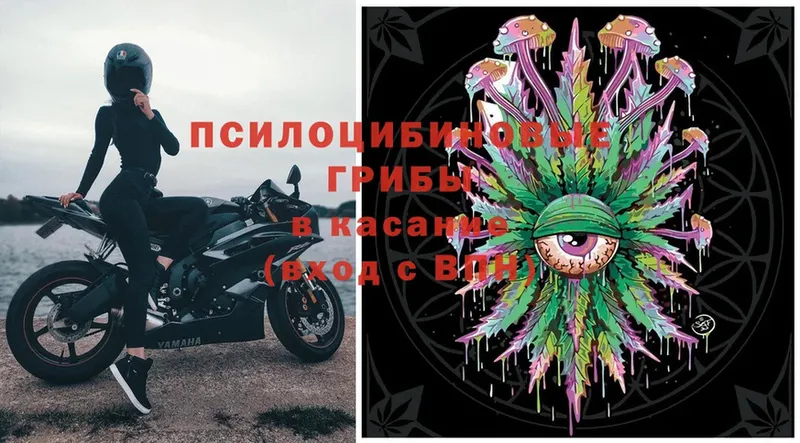 Псилоцибиновые грибы Psilocybe Партизанск